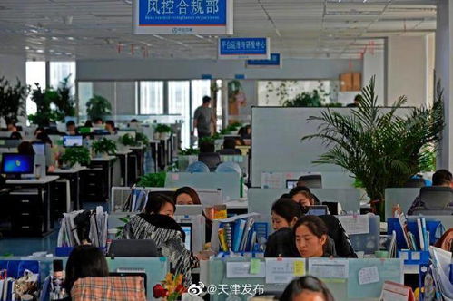 中企云鏈 以創(chuàng)新金融科技服務(wù)安心扎根，以信息技術(shù)咨詢(xún)服務(wù)舒心發(fā)展